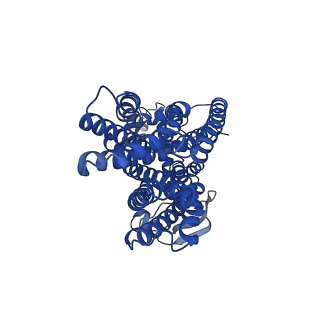 13048_7ose_D_v1-2
cytochrome bd-II type oxidase with bound aurachin D