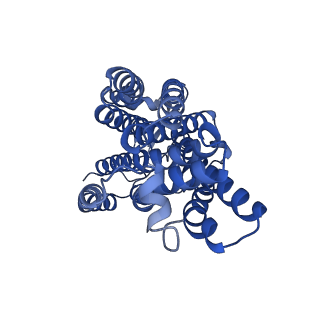 13048_7ose_E_v1-2
cytochrome bd-II type oxidase with bound aurachin D