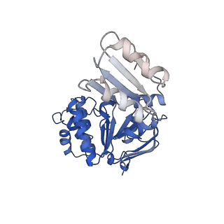 13053_7osj_B_v1-1
ABC Transporter complex NosDFYL, membrane anchor