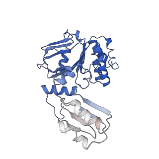13053_7osj_C_v1-1
ABC Transporter complex NosDFYL, membrane anchor