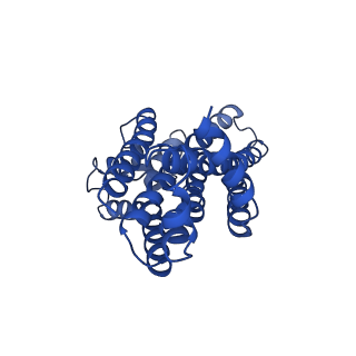 13053_7osj_D_v1-1
ABC Transporter complex NosDFYL, membrane anchor