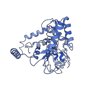 17152_8osg_C_v1-2
AAA+ motor subunit ChlI of magnesium chelatase, hexamer conformation B