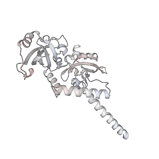 17160_8osl_M_v1-4
Cryo-EM structure of CLOCK-BMAL1 bound to the native Por enhancer nucleosome (map 2, additional 3D classification and flexible refinement)