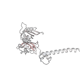 17160_8osl_N_v1-4
Cryo-EM structure of CLOCK-BMAL1 bound to the native Por enhancer nucleosome (map 2, additional 3D classification and flexible refinement)