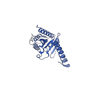 20180_6os9_A_v1-2
human Neurotensin Receptor 1 (hNTSR1) - Gi1 Protein Complex in canonical conformation (C state)