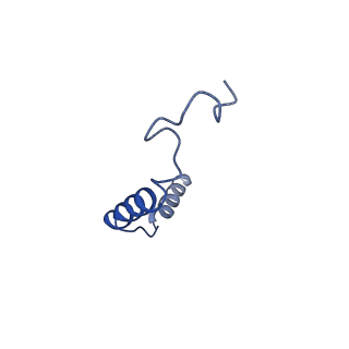 20180_6os9_C_v1-2
human Neurotensin Receptor 1 (hNTSR1) - Gi1 Protein Complex in canonical conformation (C state)