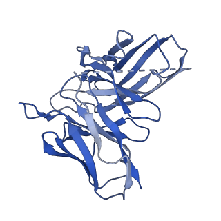 20180_6os9_D_v1-2
human Neurotensin Receptor 1 (hNTSR1) - Gi1 Protein Complex in canonical conformation (C state)