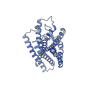 20180_6os9_R_v1-2
human Neurotensin Receptor 1 (hNTSR1) - Gi1 Protein Complex in canonical conformation (C state)