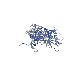 20189_6osy_2_v1-2
Cryo-EM structure of vaccine-elicited antibody 0PV-a.01 in complex with HIV-1 Env BG505 DS-SOSIP and antibodies VRC03 and PGT122