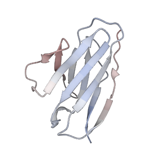 20189_6osy_7_v1-2
Cryo-EM structure of vaccine-elicited antibody 0PV-a.01 in complex with HIV-1 Env BG505 DS-SOSIP and antibodies VRC03 and PGT122