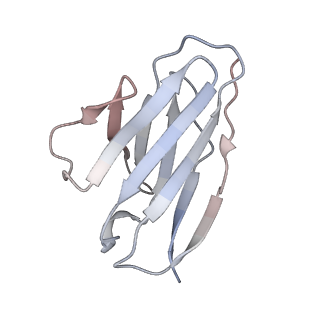 20189_6osy_7_v2-0
Cryo-EM structure of vaccine-elicited antibody 0PV-a.01 in complex with HIV-1 Env BG505 DS-SOSIP and antibodies VRC03 and PGT122