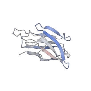 20189_6osy_8_v1-2
Cryo-EM structure of vaccine-elicited antibody 0PV-a.01 in complex with HIV-1 Env BG505 DS-SOSIP and antibodies VRC03 and PGT122
