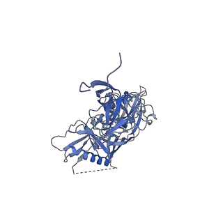 20189_6osy_B_v1-2
Cryo-EM structure of vaccine-elicited antibody 0PV-a.01 in complex with HIV-1 Env BG505 DS-SOSIP and antibodies VRC03 and PGT122