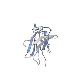 20189_6osy_C_v1-2
Cryo-EM structure of vaccine-elicited antibody 0PV-a.01 in complex with HIV-1 Env BG505 DS-SOSIP and antibodies VRC03 and PGT122