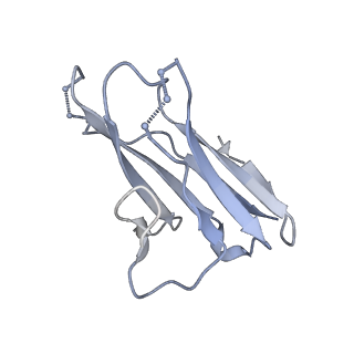 20189_6osy_D_v1-2
Cryo-EM structure of vaccine-elicited antibody 0PV-a.01 in complex with HIV-1 Env BG505 DS-SOSIP and antibodies VRC03 and PGT122