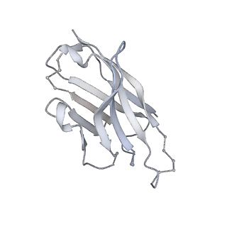 20189_6osy_H_v1-2
Cryo-EM structure of vaccine-elicited antibody 0PV-a.01 in complex with HIV-1 Env BG505 DS-SOSIP and antibodies VRC03 and PGT122