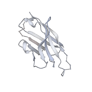 20189_6osy_H_v2-0
Cryo-EM structure of vaccine-elicited antibody 0PV-a.01 in complex with HIV-1 Env BG505 DS-SOSIP and antibodies VRC03 and PGT122