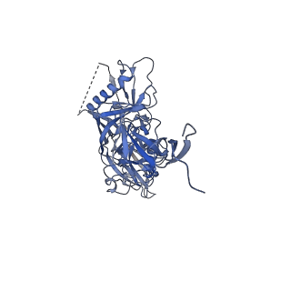 20189_6osy_K_v1-2
Cryo-EM structure of vaccine-elicited antibody 0PV-a.01 in complex with HIV-1 Env BG505 DS-SOSIP and antibodies VRC03 and PGT122