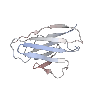 20189_6osy_O_v1-2
Cryo-EM structure of vaccine-elicited antibody 0PV-a.01 in complex with HIV-1 Env BG505 DS-SOSIP and antibodies VRC03 and PGT122
