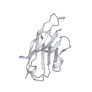 20189_6osy_R_v1-2
Cryo-EM structure of vaccine-elicited antibody 0PV-a.01 in complex with HIV-1 Env BG505 DS-SOSIP and antibodies VRC03 and PGT122