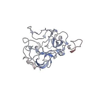 13058_7otc_C_v1-0
Cryo-EM structure of an Escherichia coli 70S ribosome in complex with elongation factor G and the antibiotic Argyrin B