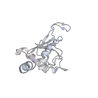 13058_7otc_F_v1-0
Cryo-EM structure of an Escherichia coli 70S ribosome in complex with elongation factor G and the antibiotic Argyrin B