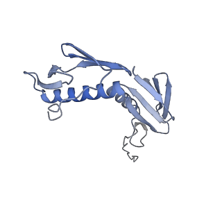13058_7otc_G_v1-0
Cryo-EM structure of an Escherichia coli 70S ribosome in complex with elongation factor G and the antibiotic Argyrin B