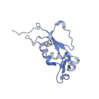 13058_7otc_J_v1-0
Cryo-EM structure of an Escherichia coli 70S ribosome in complex with elongation factor G and the antibiotic Argyrin B
