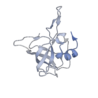 13058_7otc_K_v1-0
Cryo-EM structure of an Escherichia coli 70S ribosome in complex with elongation factor G and the antibiotic Argyrin B