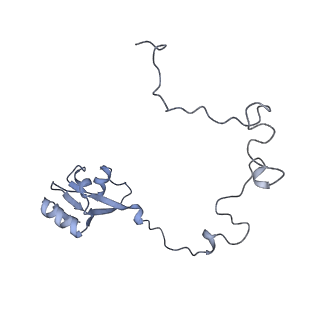 13058_7otc_L_v1-0
Cryo-EM structure of an Escherichia coli 70S ribosome in complex with elongation factor G and the antibiotic Argyrin B
