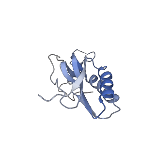 13058_7otc_M_v1-0
Cryo-EM structure of an Escherichia coli 70S ribosome in complex with elongation factor G and the antibiotic Argyrin B