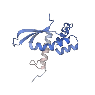 13058_7otc_N_v1-0
Cryo-EM structure of an Escherichia coli 70S ribosome in complex with elongation factor G and the antibiotic Argyrin B