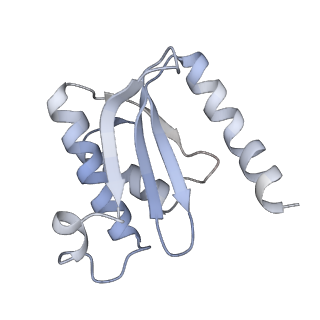 13058_7otc_O_v1-0
Cryo-EM structure of an Escherichia coli 70S ribosome in complex with elongation factor G and the antibiotic Argyrin B