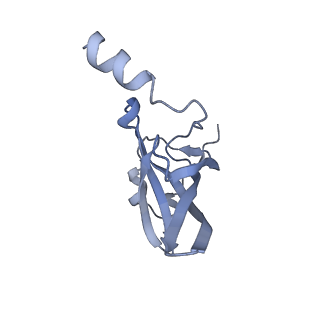 13058_7otc_P_v1-0
Cryo-EM structure of an Escherichia coli 70S ribosome in complex with elongation factor G and the antibiotic Argyrin B