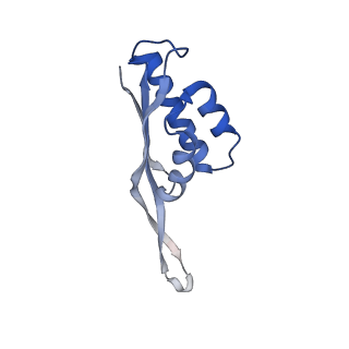 13058_7otc_S_v1-0
Cryo-EM structure of an Escherichia coli 70S ribosome in complex with elongation factor G and the antibiotic Argyrin B