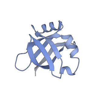 13058_7otc_V_v1-0
Cryo-EM structure of an Escherichia coli 70S ribosome in complex with elongation factor G and the antibiotic Argyrin B