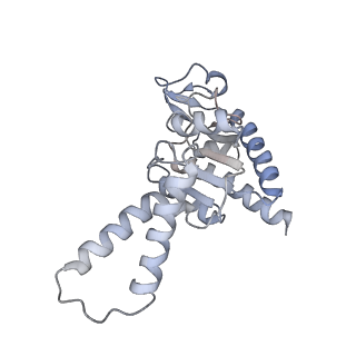 13058_7otc_b_v1-0
Cryo-EM structure of an Escherichia coli 70S ribosome in complex with elongation factor G and the antibiotic Argyrin B
