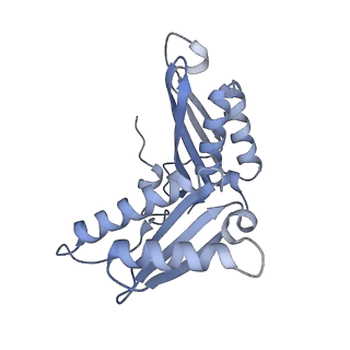 13058_7otc_c_v1-0
Cryo-EM structure of an Escherichia coli 70S ribosome in complex with elongation factor G and the antibiotic Argyrin B