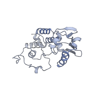 13058_7otc_d_v1-0
Cryo-EM structure of an Escherichia coli 70S ribosome in complex with elongation factor G and the antibiotic Argyrin B
