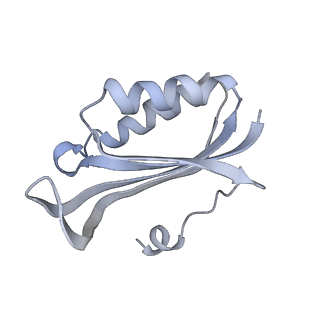 13058_7otc_f_v1-0
Cryo-EM structure of an Escherichia coli 70S ribosome in complex with elongation factor G and the antibiotic Argyrin B