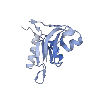 13058_7otc_h_v1-0
Cryo-EM structure of an Escherichia coli 70S ribosome in complex with elongation factor G and the antibiotic Argyrin B