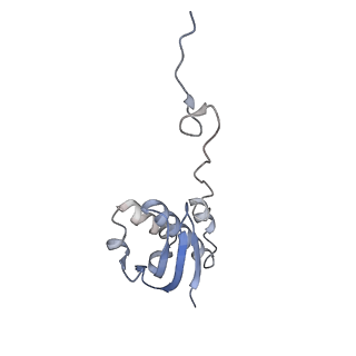 13058_7otc_i_v1-0
Cryo-EM structure of an Escherichia coli 70S ribosome in complex with elongation factor G and the antibiotic Argyrin B