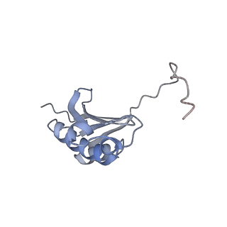 13058_7otc_k_v1-0
Cryo-EM structure of an Escherichia coli 70S ribosome in complex with elongation factor G and the antibiotic Argyrin B