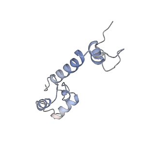 13058_7otc_m_v1-0
Cryo-EM structure of an Escherichia coli 70S ribosome in complex with elongation factor G and the antibiotic Argyrin B