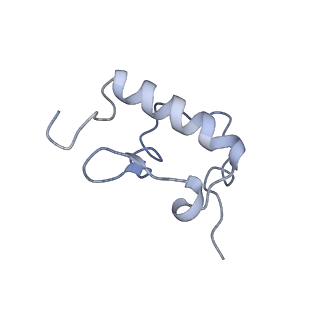 13058_7otc_r_v1-0
Cryo-EM structure of an Escherichia coli 70S ribosome in complex with elongation factor G and the antibiotic Argyrin B
