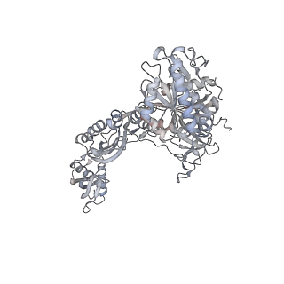 13058_7otc_w_v1-0
Cryo-EM structure of an Escherichia coli 70S ribosome in complex with elongation factor G and the antibiotic Argyrin B