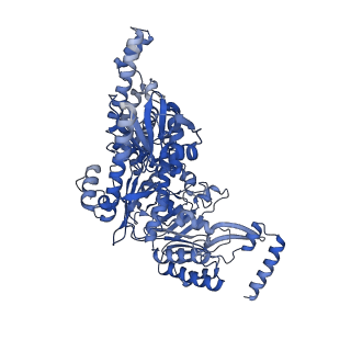 13063_7oto_A_v1-1
The structure of MutS bound to two molecules of AMPPNP