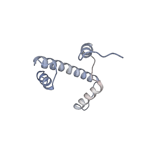 13065_7otq_A_v1-0
Cryo-EM structure of ALC1/CHD1L bound to a PARylated nucleosome
