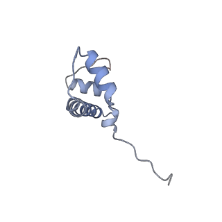 13065_7otq_B_v1-0
Cryo-EM structure of ALC1/CHD1L bound to a PARylated nucleosome