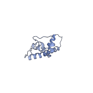 13065_7otq_C_v1-0
Cryo-EM structure of ALC1/CHD1L bound to a PARylated nucleosome